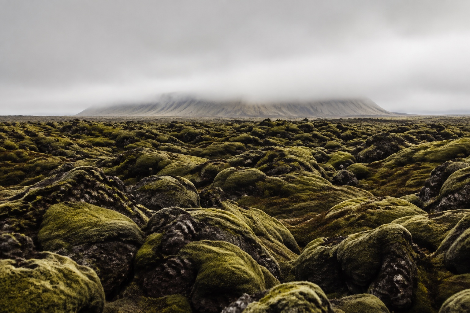 Moss-covered lava in front of a mountain partly hidden by cloud